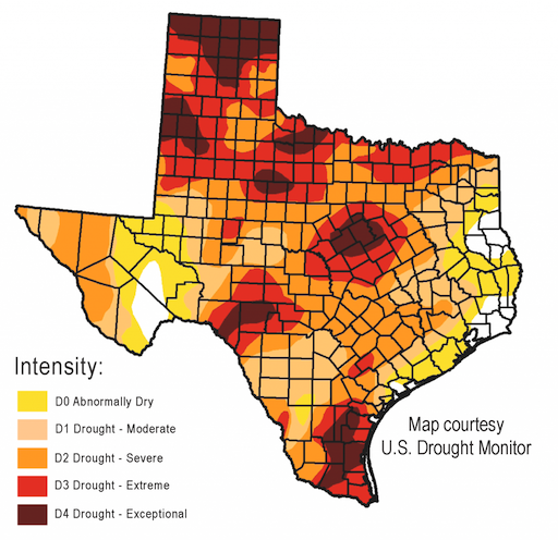 texas water